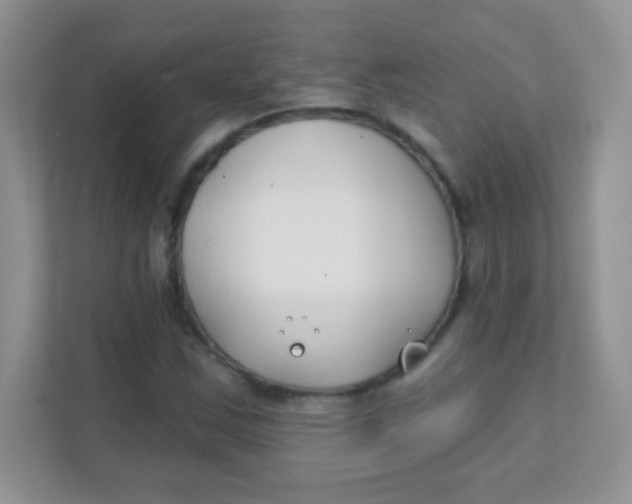 X0000111381163200907311047