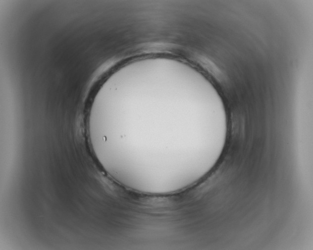 X0000111381164200907311047