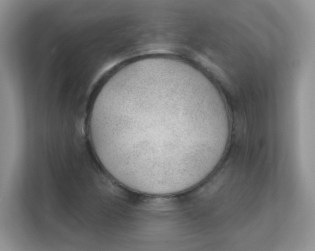 X0000111381166200907311047