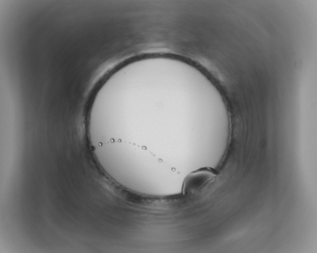 X0000111381167200907311047