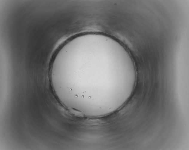 X0000111381168200907311047