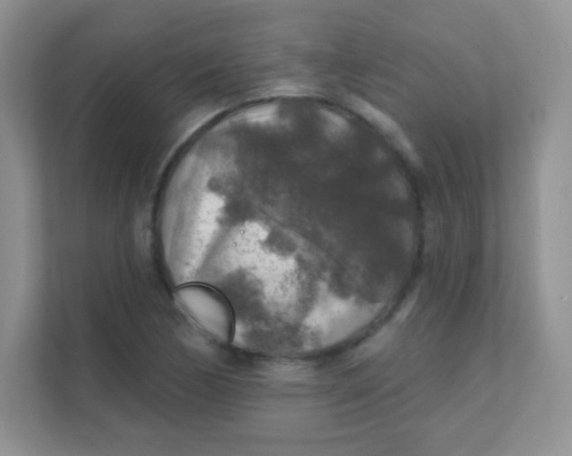 X0000111381170200907311047