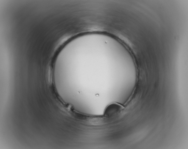 X0000111381171200907311047