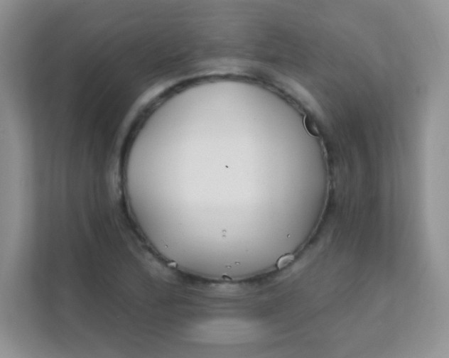 X0000111381172200907311047