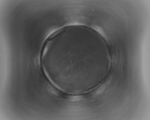 X0000111381173200907311047