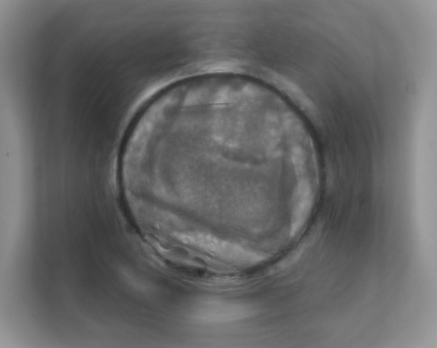 X0000111381174200907311047