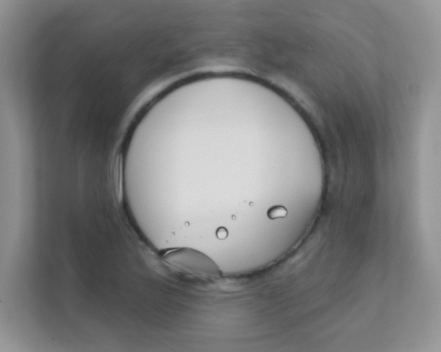 X0000111381175200907311047