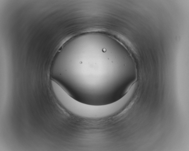 X0000111381177200907311047