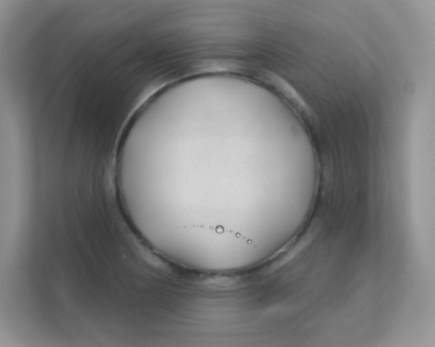 X0000111381178200907311047