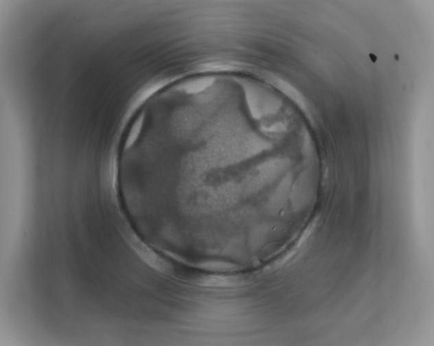 X0000111381179200907311047