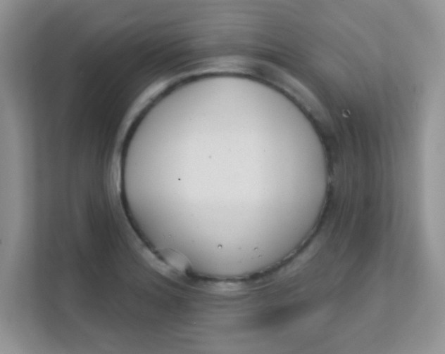 X0000111381180200907311047