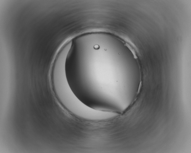 X0000111381181200907311047