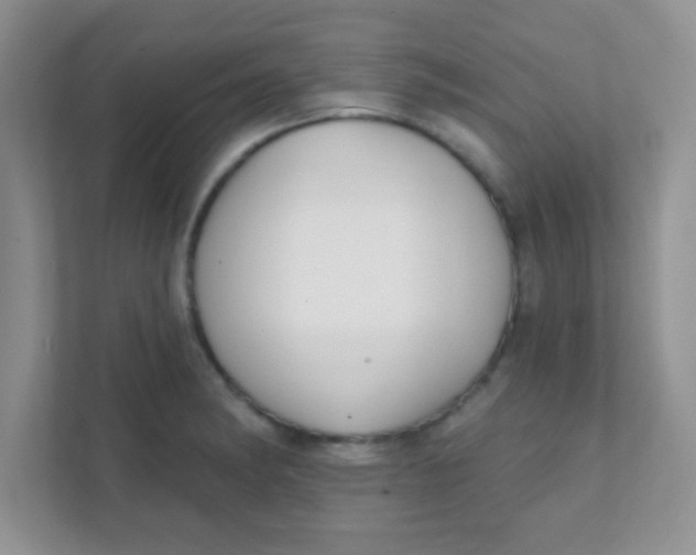 X0000111381182200907311047