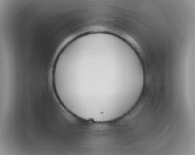 X0000111381183200907311047