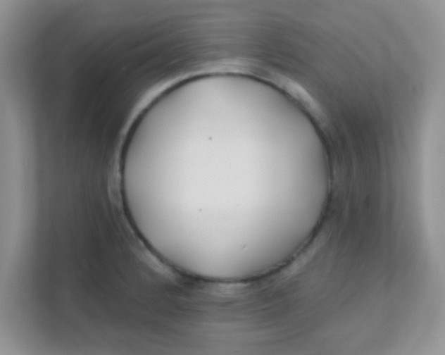 X0000111381184200907311047