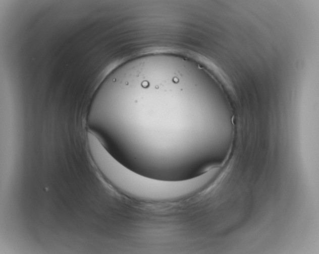 X0000111381185200907311047