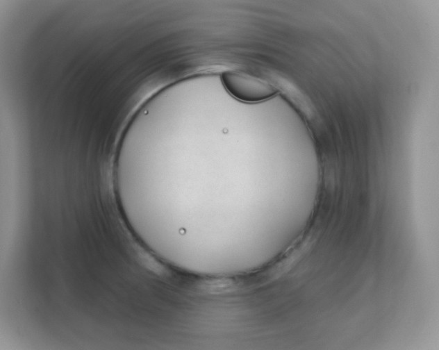 X0000111381186200907311047