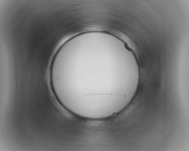 X0000111381187200907311047