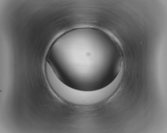 X0000111381189200907311047