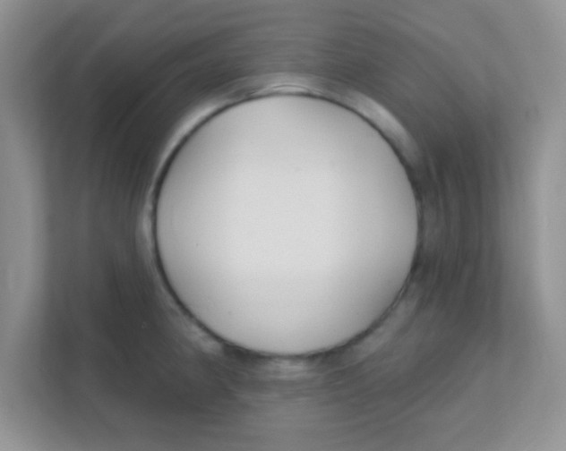 X0000111381190200907311047