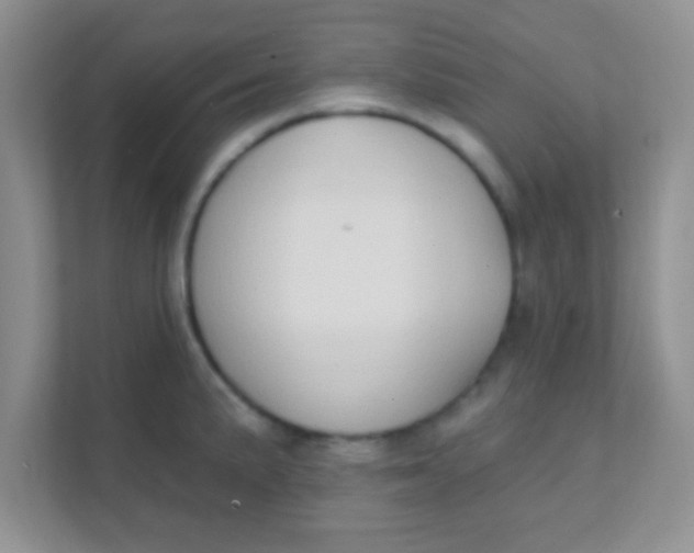 X0000111381191200907311047