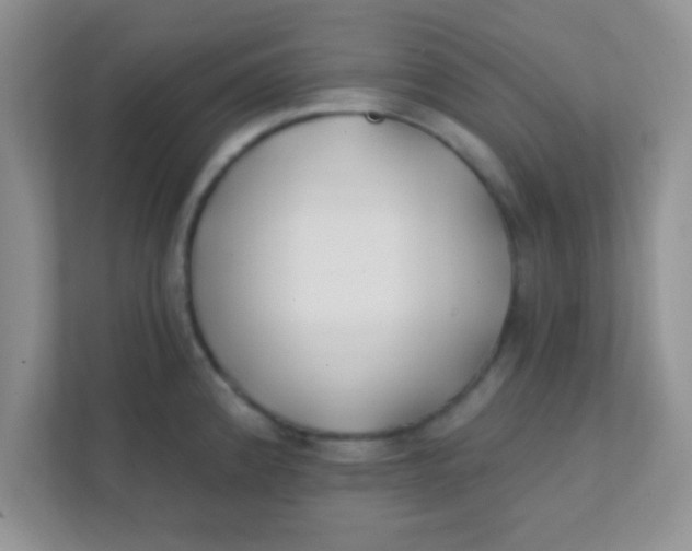 X0000111381192200907311047