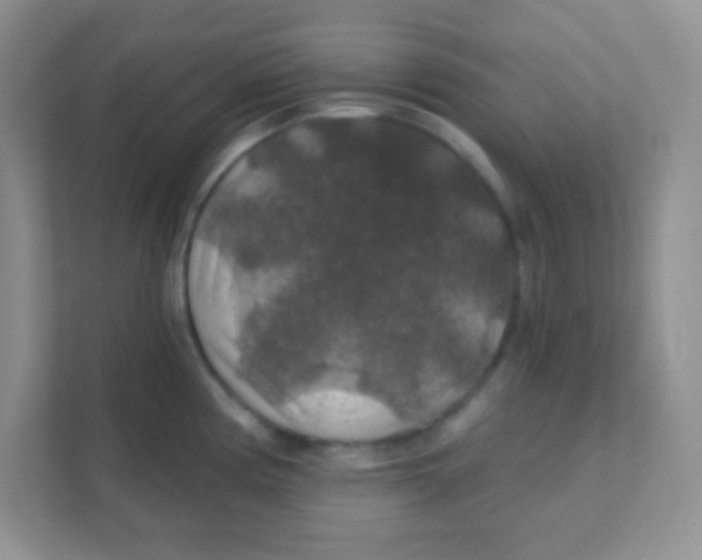 X0000111381194200907311047