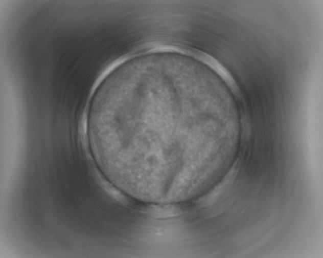 X0000111381198200907311047