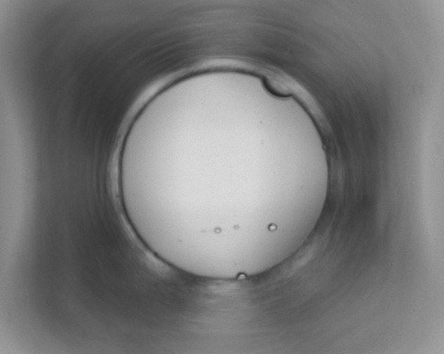 X0000111381199200907311047