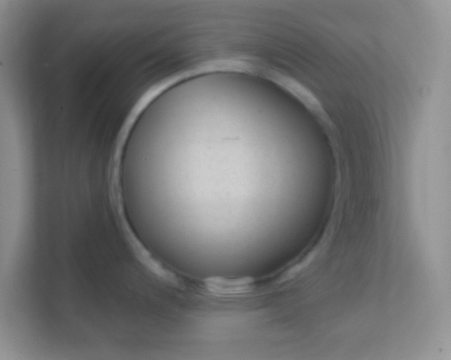 X0000111381200200907311047