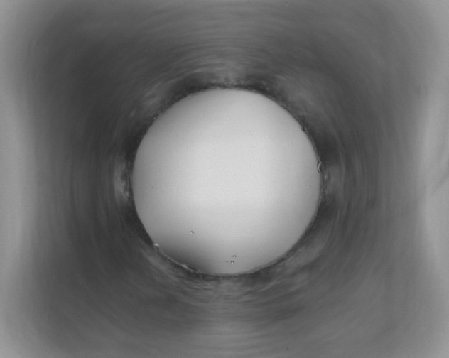 X0000111381202200907311046