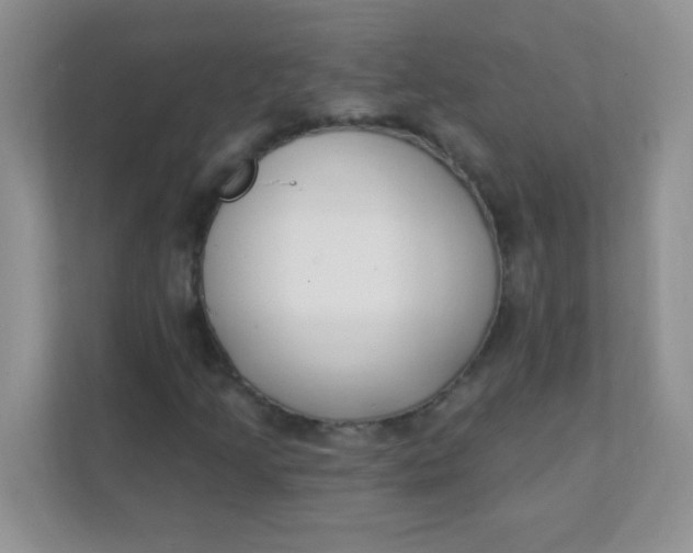 X0000111381205200907311046