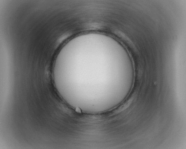 X0000111381210200907311046