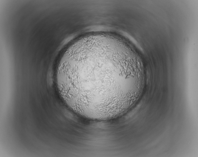 X0000111381213200907311047