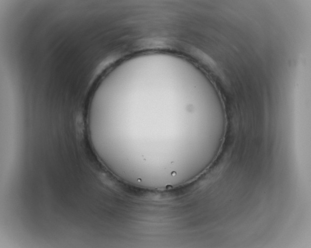 X0000111381218200907311047