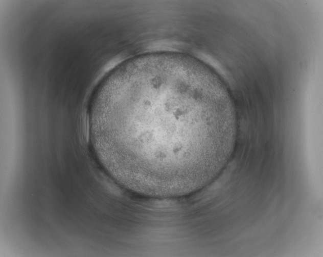 X0000111381219200907311047