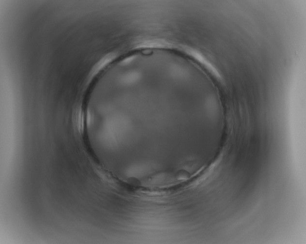 X0000111381221200907311047