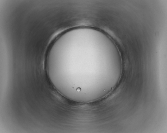 X0000111381222200907311047