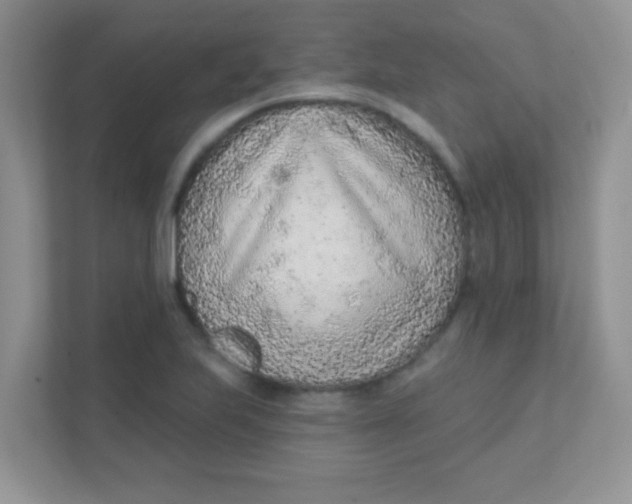 X0000111381223200907311047