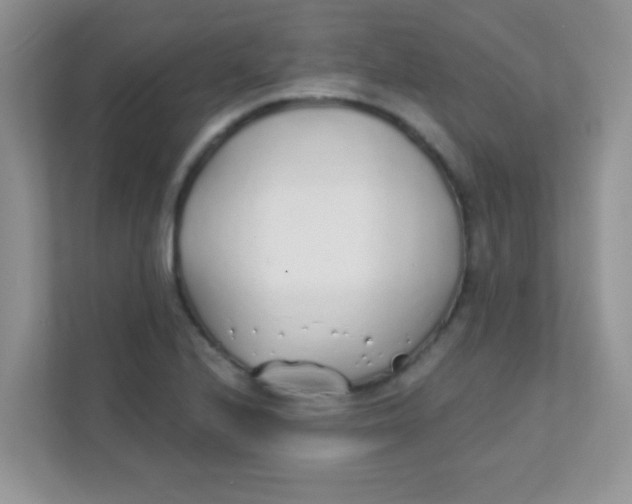 X0000111381224200907311047