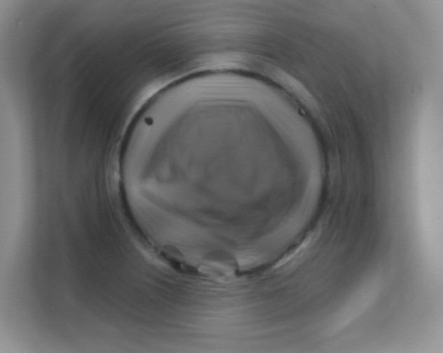 X0000111381226200907311047