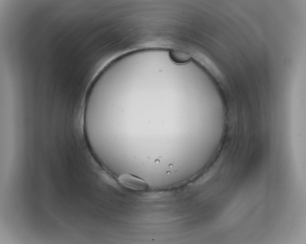 X0000111381228200907311047