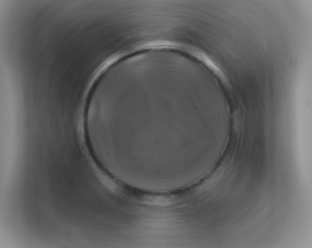 X0000111381229200907311047