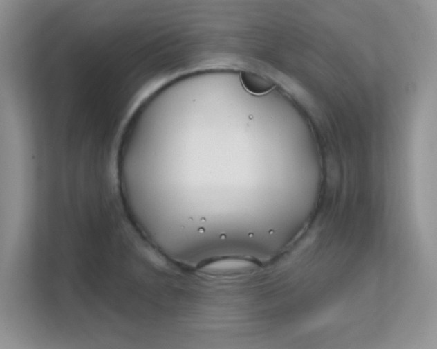 X0000111381230200907311047