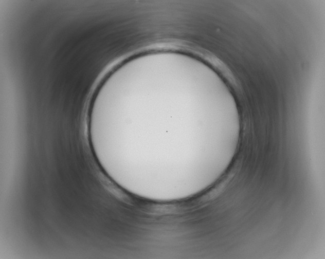 X0000111381232200907311047