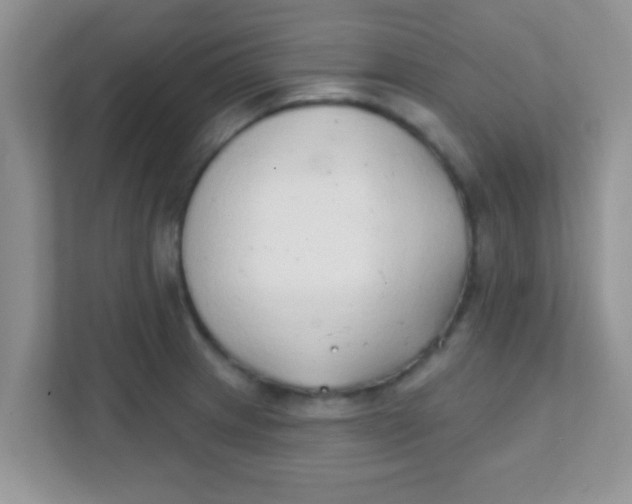 X0000111381233200907311047