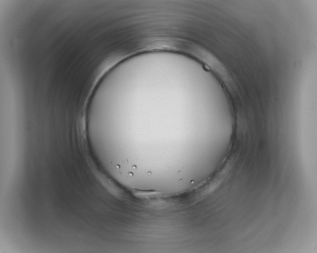 X0000111381234200907311047