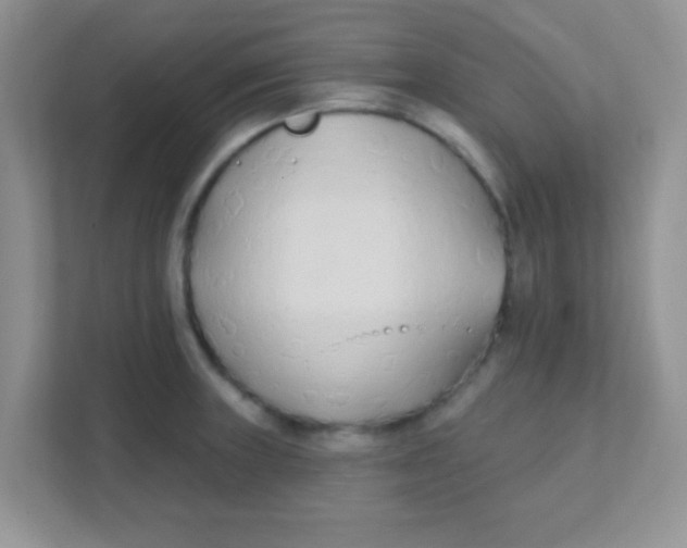 X0000111381235200907311047