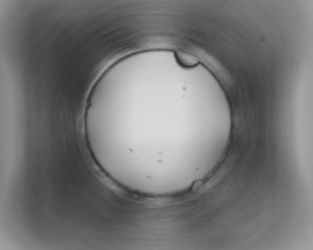 X0000111381236200907311047