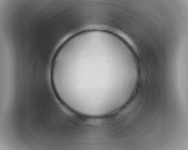 X0000111381237200907311047